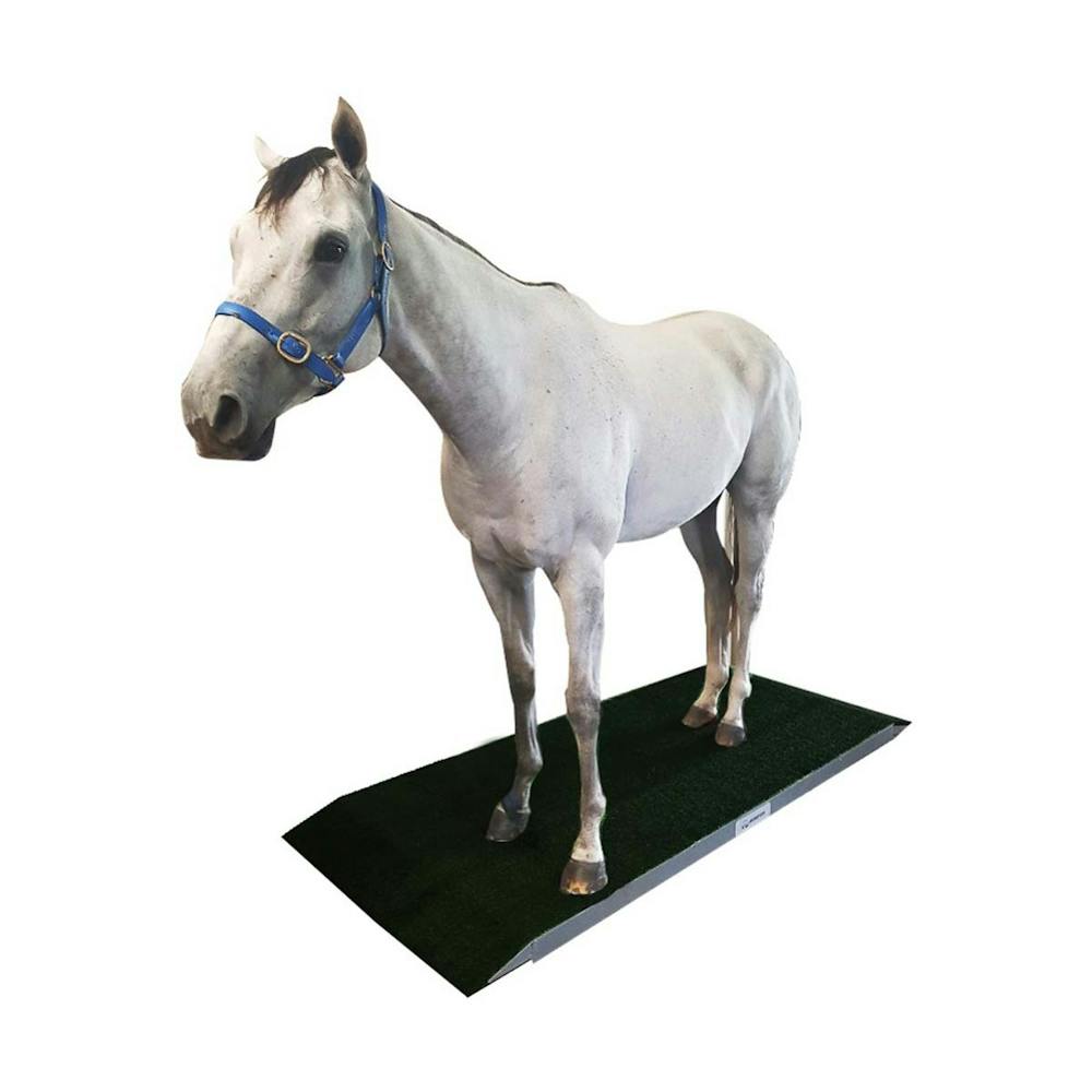 product-images equine-scale-pl-0469-details-yzLuM