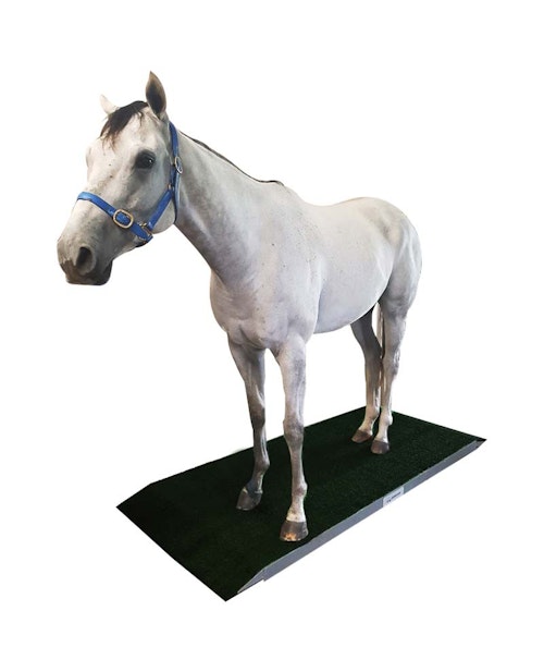 product-images equine-scale-pl-0469-thumb-xgZBW